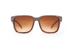 Apollo Sunglasses: TORTOISE 21 Apollo Sunglasses: TORTOISE -Glasses Specialty Store Tortoise Brown Lurk Front