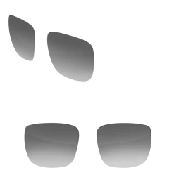 Custom Regulator -Glasses Specialty Store lens grey lurk