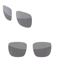 Custom Regulator -Glasses Specialty Store lens silver